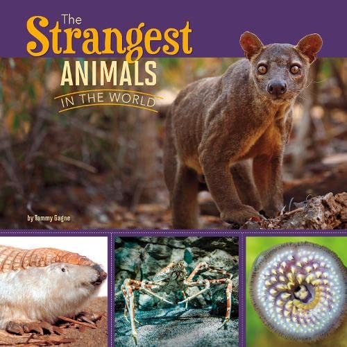 The Strangest Animals in the World (First Facts: All about Animals) by Tammy Gagne