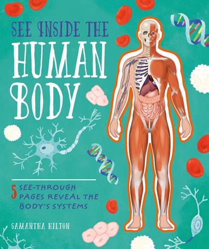 See Inside the Human Body by Samantha Hilton