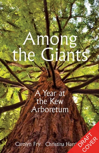 Among the Giants A Year at Kew's Arboretum by Kew Gardens