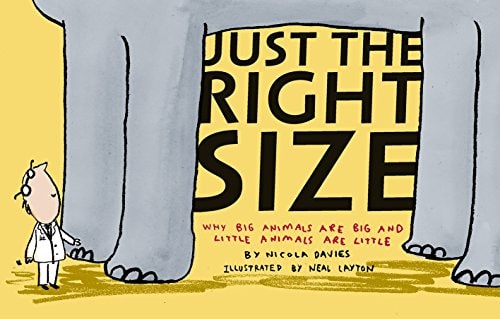 Just the Right Size Why Big Animals are Big and Little Animals are Little by Nicola Davies