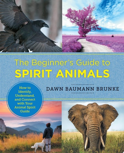 The Beginner's Guide to Spirit Animals: How to Connect with Your Animal Spirit Guide by Dawn Baumann Brunke