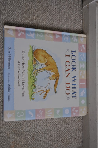 Look What I Can Do by Catherine Anholt