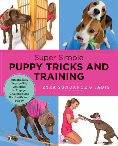 Super Simple Puppy Tricks and Training: Fun and Easy Step-by-Step Activities to Engage by Sundance, Kyra