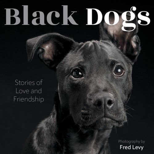 Black Dogs: Stories of Love and Friendship by Alighieri, Dante