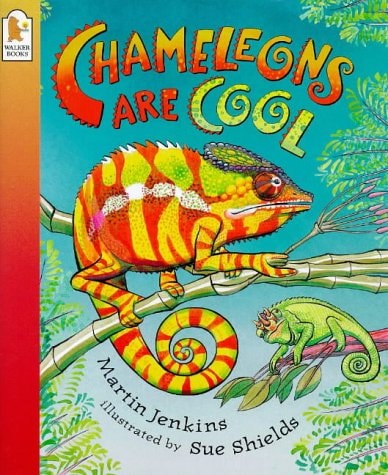Chameleons are Cool (shelfworn) by Martin Jenkins