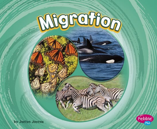 Migration by Jaycox, Jaclyn