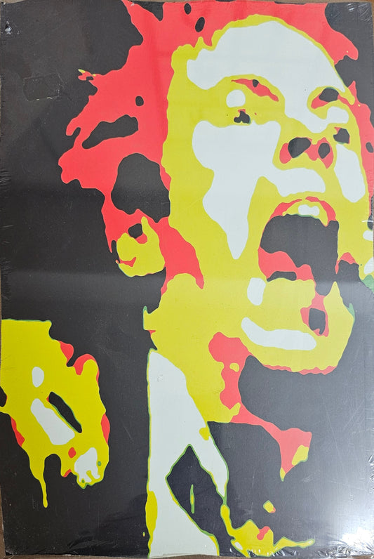 Board-mounted music paintings: Johnny Rotten by -