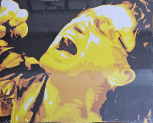 Board-mounted music paintings: Bono (U2) by -