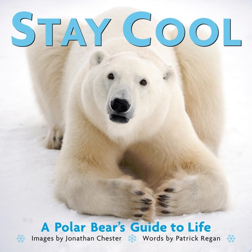 Stay Cool A Polar Bear's Guide to Life by Jonathan Chester | Patrick Regan
