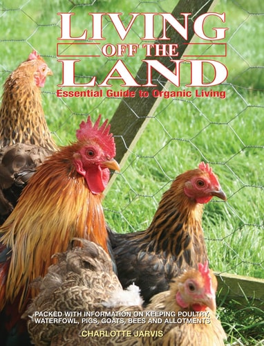 Living off the Land Essential Guide To Organic Living: Packed Witih Information On Keeping Poultry, Waterfowl, Pigs, Goats, Bees And Allotments by Charlotte Jarvis