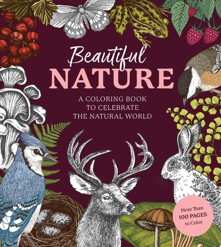 Beautiful Nature Coloring Book A Coloring Book to Celebrate the Natural World - More Than 100 Pages to Color by Editors of Chartwell Books