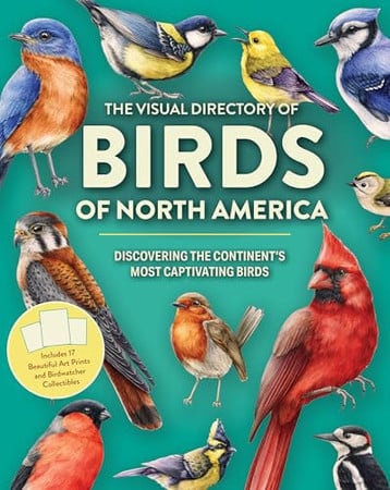 Visual Directory of Birds of North America: Discovering the Continents Most Captivating Birds by Bennett, Jackie