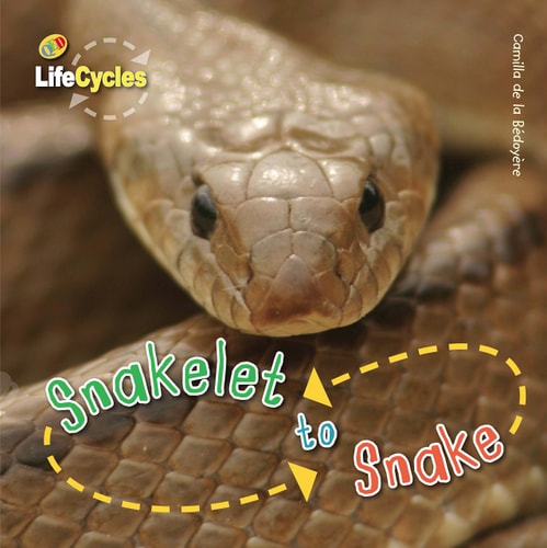 Life Cycles: Snakelet to Snake by Camilla de la Bédoyère