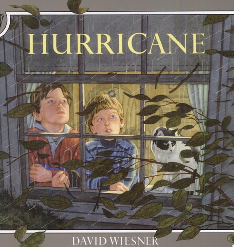 Hurricane (shelfworn) by David Wiesner