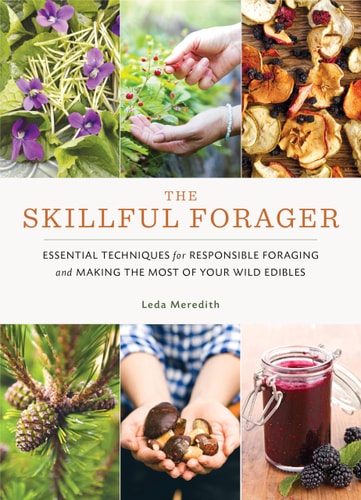 (TXS) The Skillful Forager Essential Techniques for Responsible Foraging by Leda Meredith