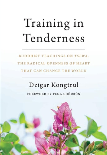 Training in Zärtlichkeit von Dzigar Kongtrul (Autor), Pema Chodron (Vorwort) (TXS)