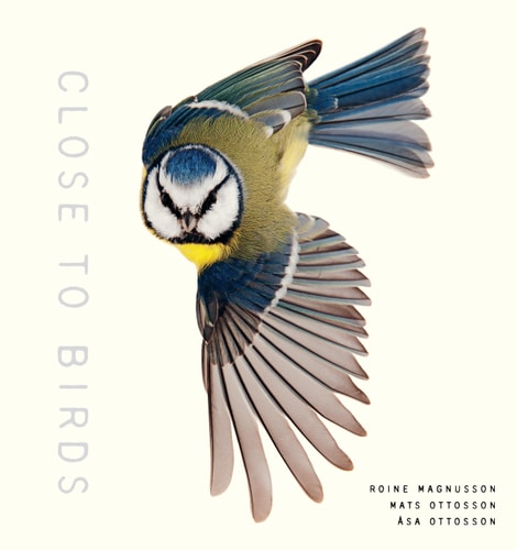 (TXS) Close To Birds by Magnusson, Roine (PHT)/ Ottoson, Mats/ Ottoson, Asa
