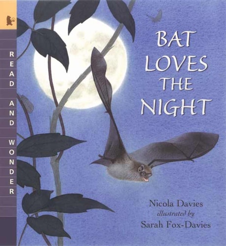 Bat Loves the Night Read and Wonder (shelfworn) by Nicola Davies