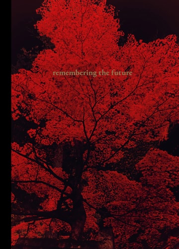 Albarrán Cabrera: Remembering the Future (Sortiert) von Amanda Renshaw