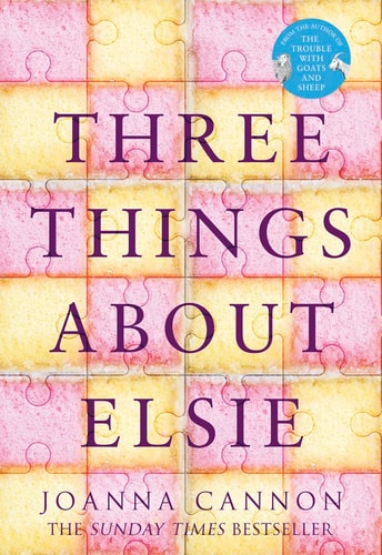 THREE THINGS ABOUT ELSIE (181 GRAND) (shelfworn) by CANNON JOANNA