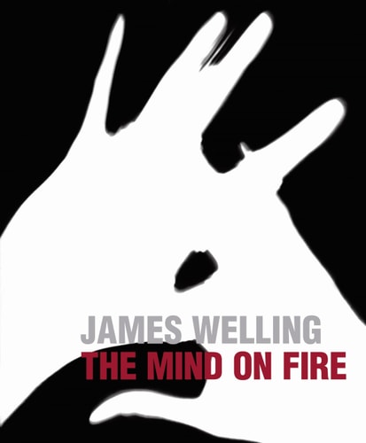 James Welling: Der Geist in Flammen von James Welling