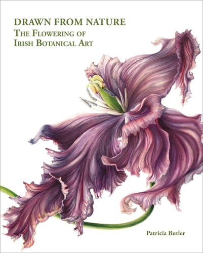 Drawn From Nature The Flowering of Irish Botanical Art by Patricia Butler