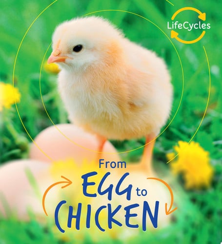 Egg to Chicken (Lifecycles) (shelf worn) by Camilla de la Bedoyere