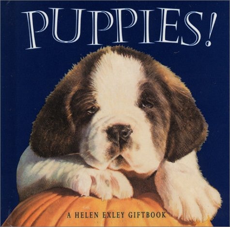 Puppies by Helen Exley