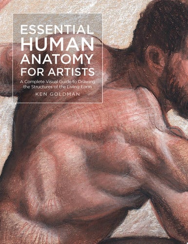 Essential Human Anatomy for Artists A Complete Visual Guide to Drawing the Structures of the Living Form by Ken Goldman
