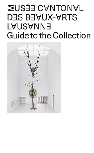 Musée Cantonal Des Beaux-Arts de Lausanne Guide to the Collection (shelfworn) by Musée Cantonal des Beaux-Arts Lausanne | Bernhard Fibicher
