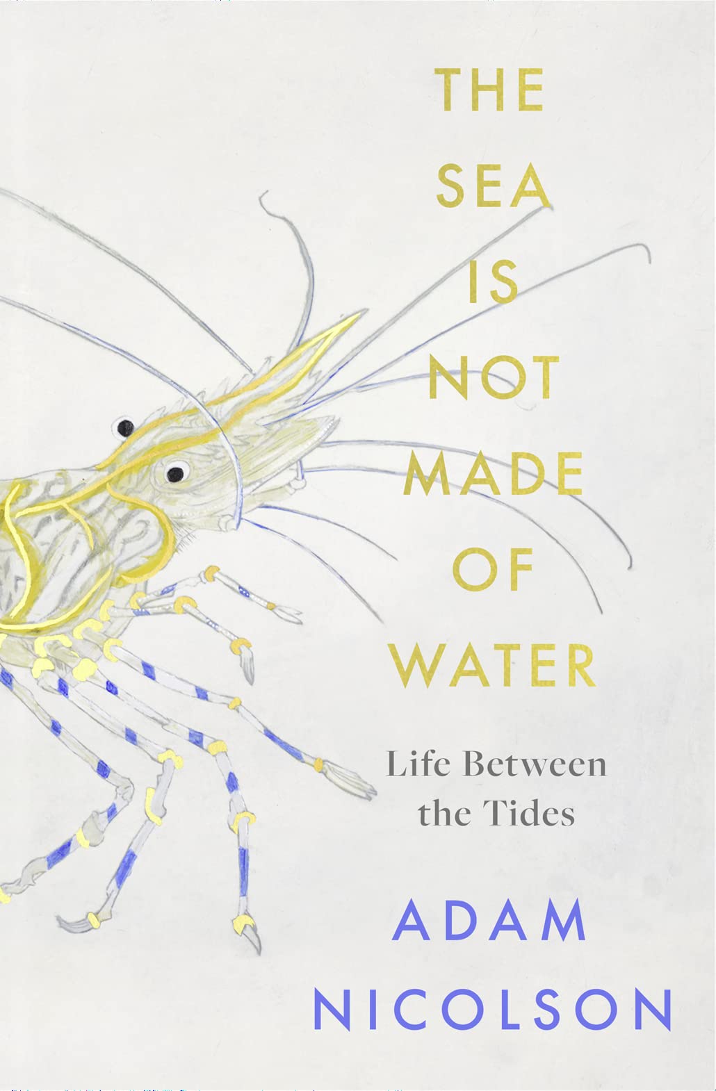 The Sea is Not Made of Water: Life Between the Tides by Adam Nicolson