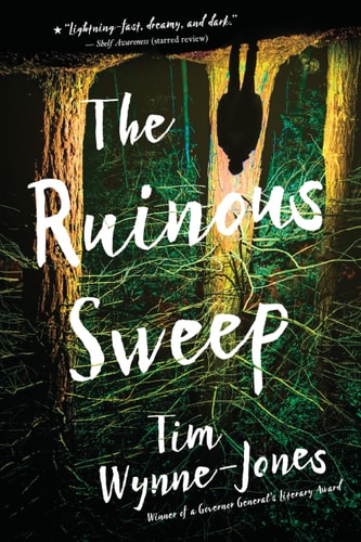 The Ruinous Sweep (abgenutzt) von Tim Wynne-Jones