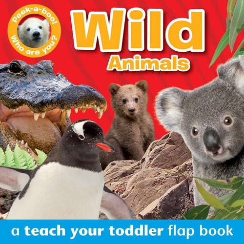 PEEK-A-BOO - WILD ANIMALS, A Teach-your-toddler flap book by Anna Award