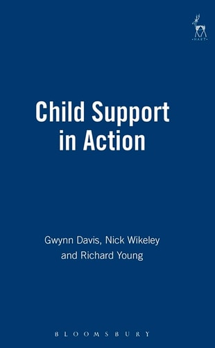 Child Support in Action (Shelfworn) by Gwynn Davis | Nicholas Wikeley | Richard Young