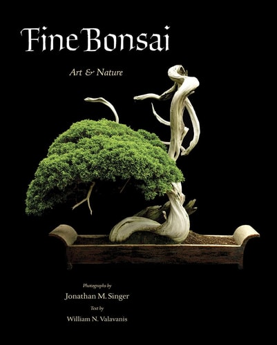 Fine Bonsai: Kunst &amp; Natur von William N. Valavanis