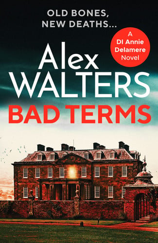 Bad Terms by Alex Walters
