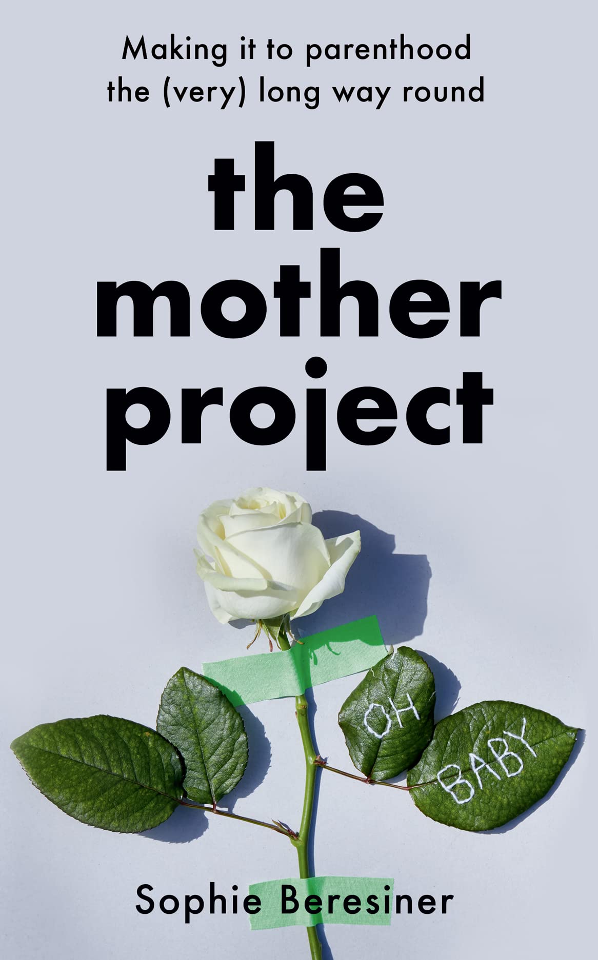 The Mother Project: Making it to parenthood the (very) long way round by Sophie Beresiner