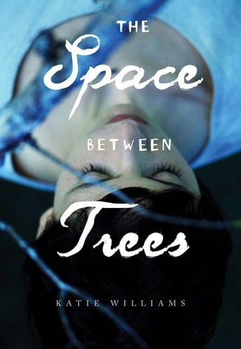 The Space between Trees by Moka | Melissa Daly