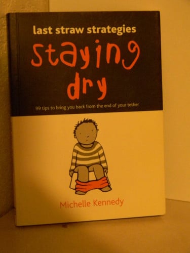 Staying Dry 99 Tips to Bring You Back from the End of Your Tether by Michelle Kennedy