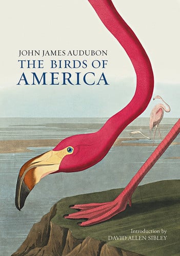 The Birds of America (slight shelf wear) by John James Audubon