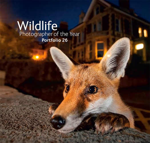 Wildlife Photographer of the Year: Portfolio 26 (26) by Rosamund Kidman Cox