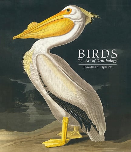 Birds: The Art of Ornithology (Pocket edition) by Elphick, Jonathan