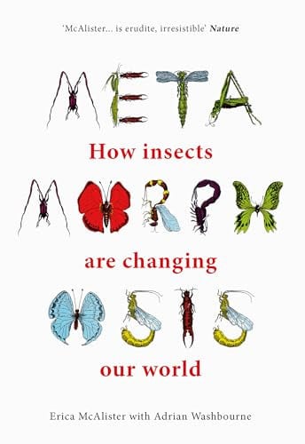 Metamorphosis How Insects are Changing Our World by Erica McAlister | Adrian Washbourne