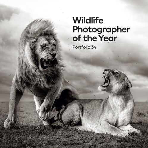 Wildlife Photographer of the Year: Portfolio 34 (slight shelf wear) by Keith Wilson