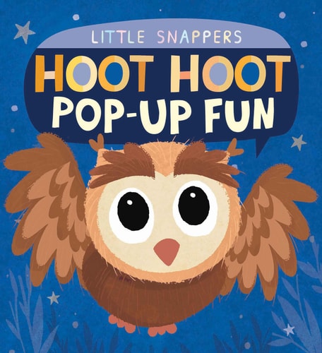 Hoot Hoot Pop-up Fun (Little Snappers) (shelfworn) by Nicola Edwards