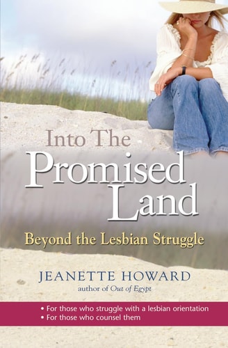 Into the Promised Land Beyond the Lesbian Struggle (shelfworn) by Jeanette Howard