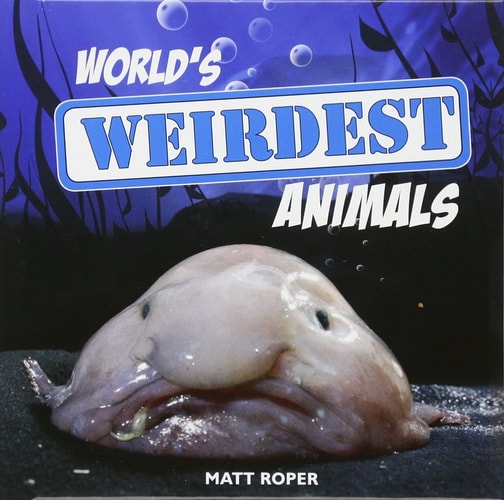 Die seltsamsten Tiere der Welt von Matt Roper