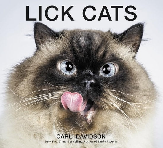 Lick Cats (shelf worn) by Carli Davidson