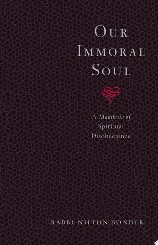 Unsere unmoralische Seele: Ein Manifest des spirituellen Ungehorsams von Rabbi Nilton Bonder (TXS)