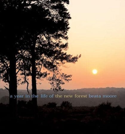 A year in the life of the New Forest (shelfworn) by Moore, Beata